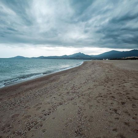 Appartement T2 Les Pieds Dans L'Eau A Argeles-Sur-Mer Luaran gambar