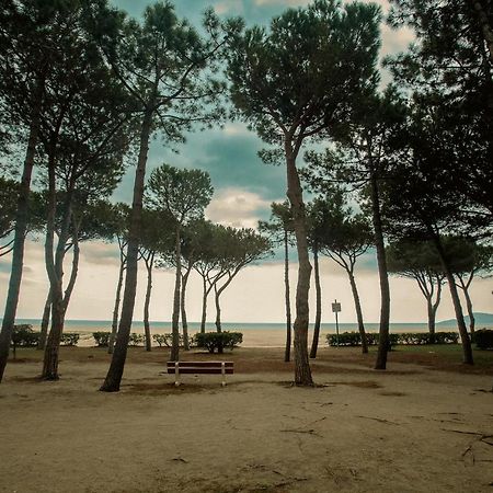 Appartement T2 Les Pieds Dans L'Eau A Argeles-Sur-Mer Luaran gambar