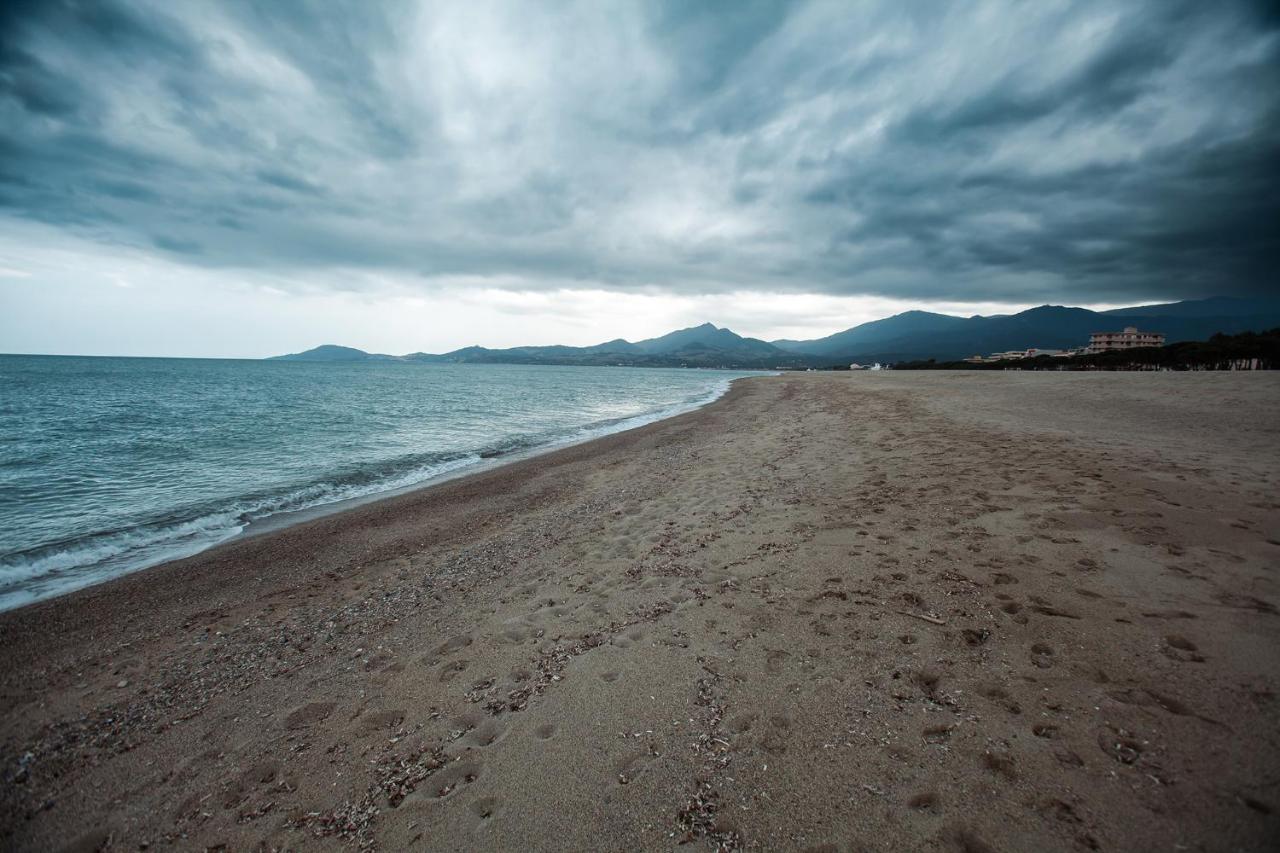 Appartement T2 Les Pieds Dans L'Eau A Argeles-Sur-Mer Luaran gambar