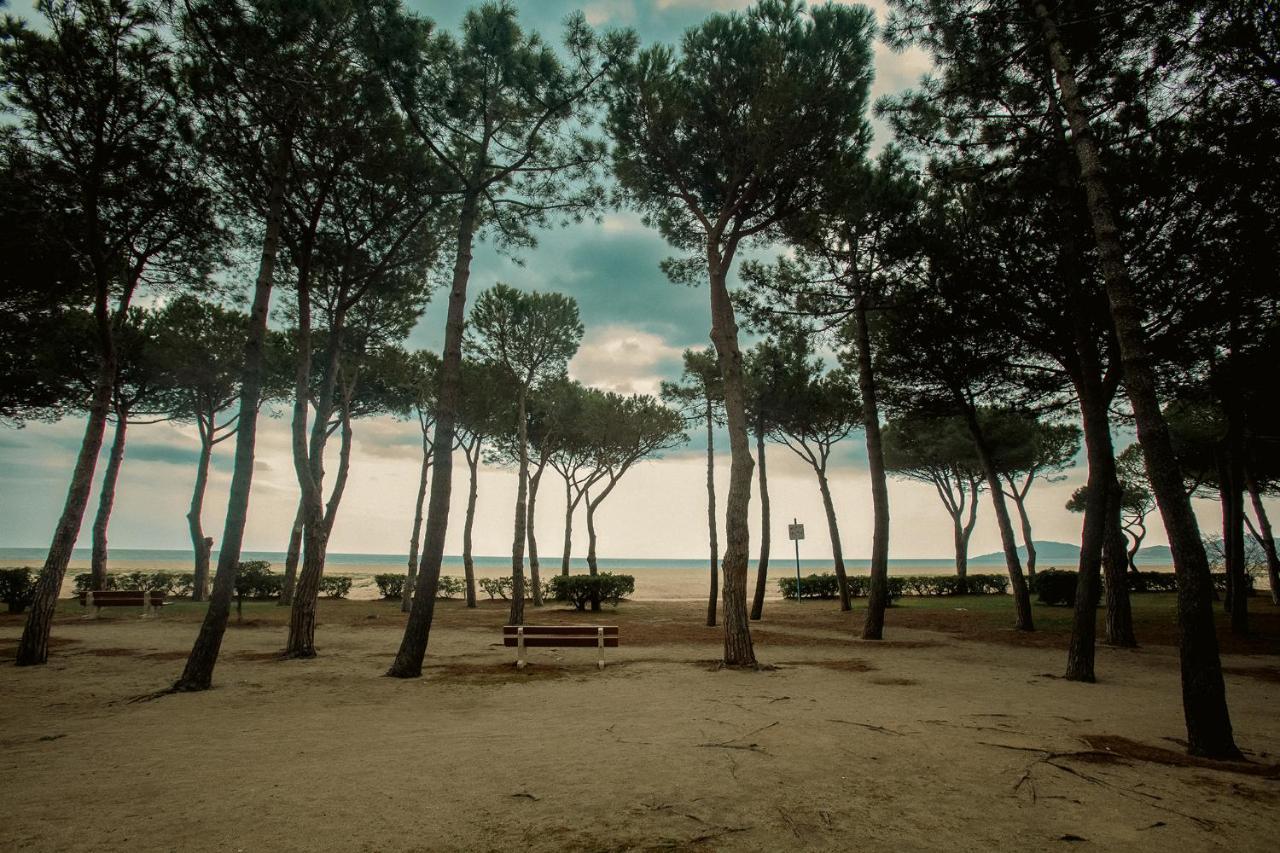 Appartement T2 Les Pieds Dans L'Eau A Argeles-Sur-Mer Luaran gambar