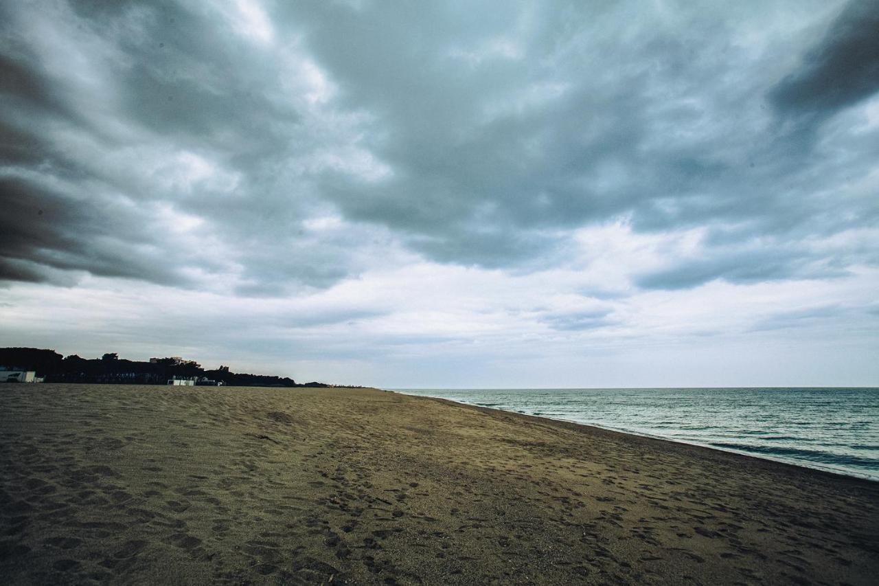 Appartement T2 Les Pieds Dans L'Eau A Argeles-Sur-Mer Luaran gambar